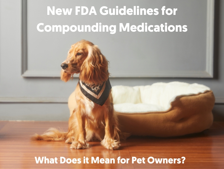 New Guidelines for Compounding Medications: What Does it Mean for Pet Owners?