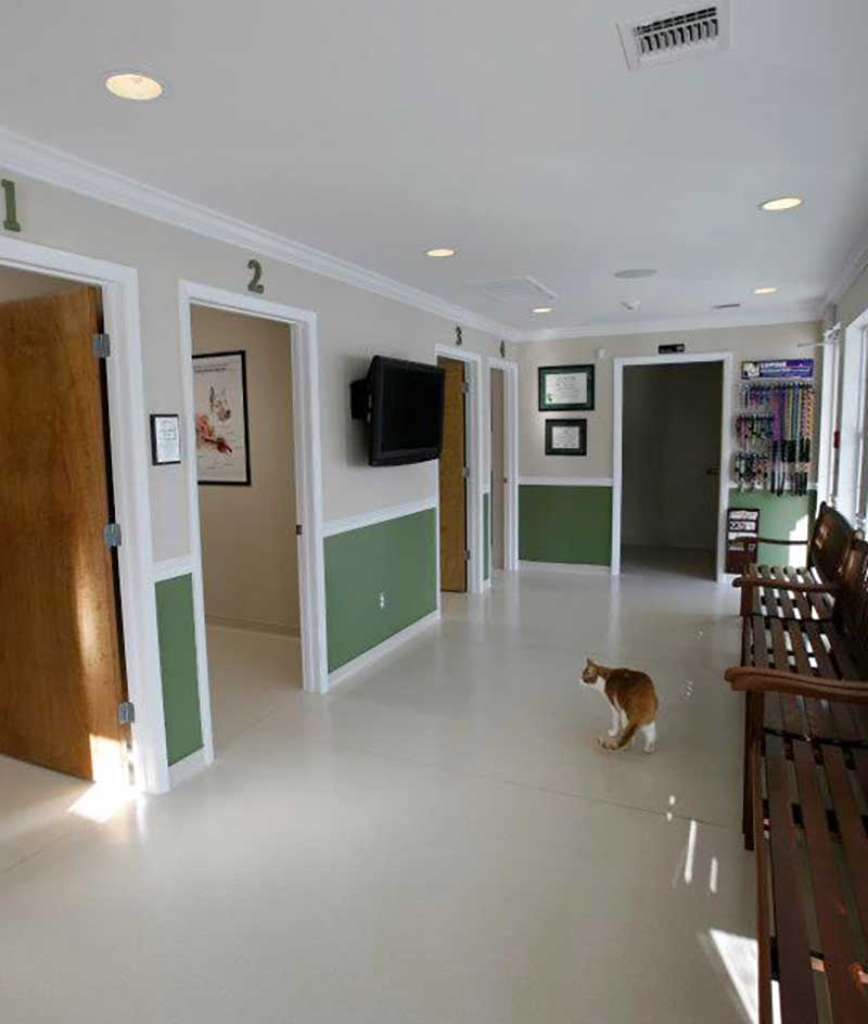 Veterinary Hospital in Middletown NY